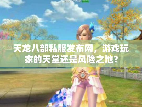 天龙八部私服发布网，游戏玩家的天堂还是风险之地？
