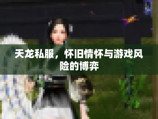 天龙私服，怀旧情怀与游戏风险的博弈