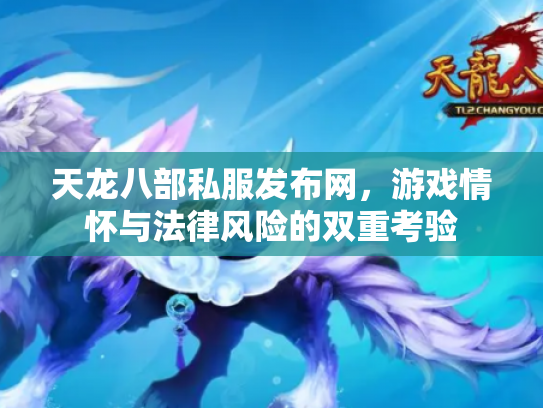 天龙八部私服发布网，游戏情怀与法律风险的双重考验