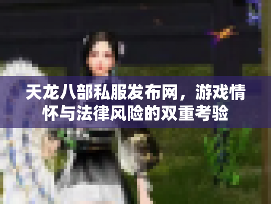天龙八部私服发布网，游戏情怀与法律风险的双重考验