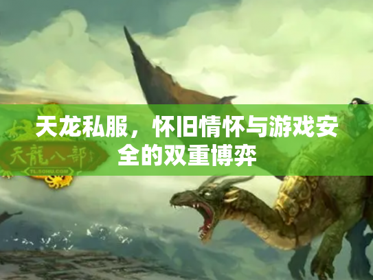 天龙私服，怀旧情怀与游戏安全的双重博弈