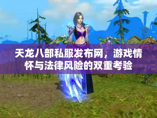 天龙八部私服发布网，游戏情怀与法律风险的双重考验