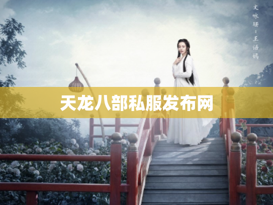 天龙八部私服发布网