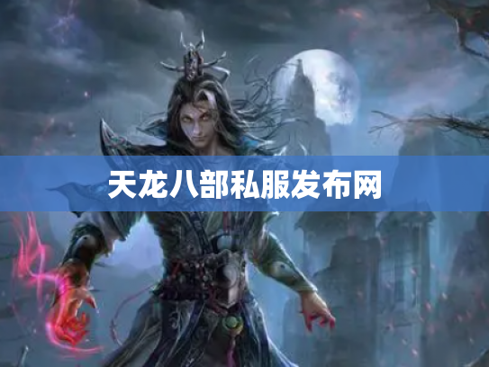 天龙八部私服发布网