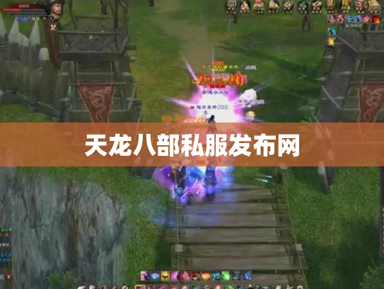 天龙八部私服发布网