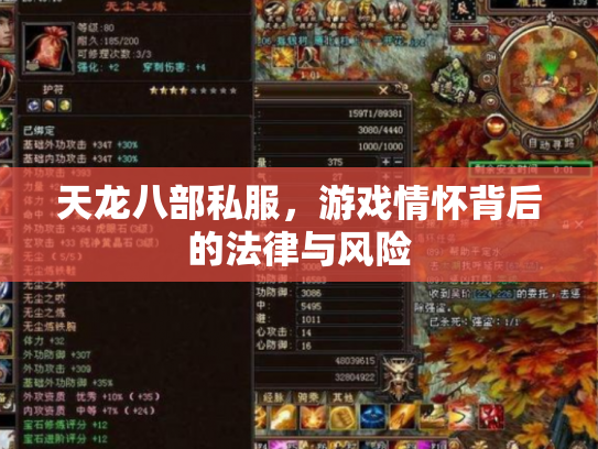 天龙八部私服，游戏情怀背后的法律与风险
