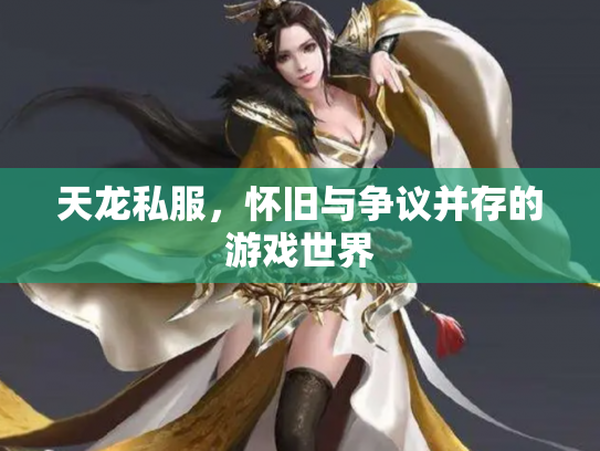 天龙私服，怀旧与争议并存的游戏世界