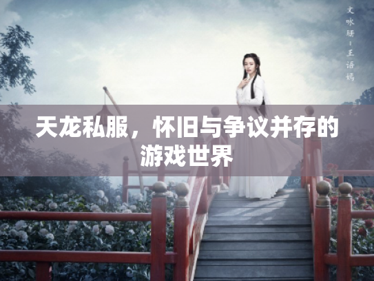 天龙私服，怀旧与争议并存的游戏世界
