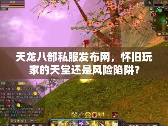 天龙八部私服发布网，怀旧玩家的天堂还是风险陷阱？