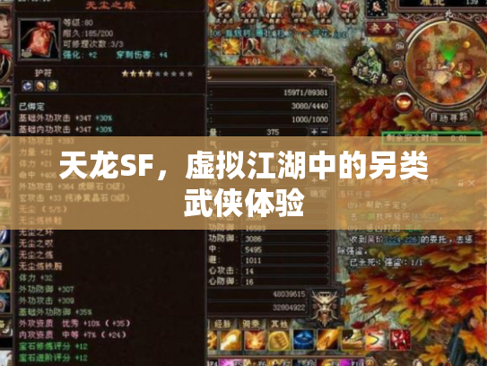 天龙SF，虚拟江湖中的另类武侠体验