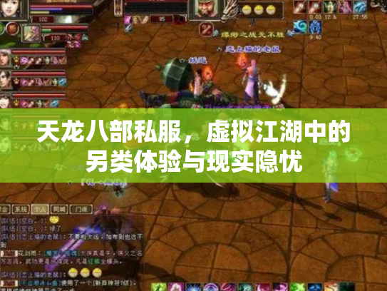 天龙八部私服，虚拟江湖中的另类体验与现实隐忧