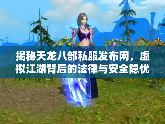 揭秘天龙八部私服发布网，虚拟江湖背后的法律与安全隐忧