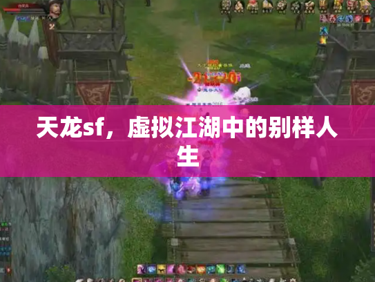 天龙sf，虚拟江湖中的别样人生