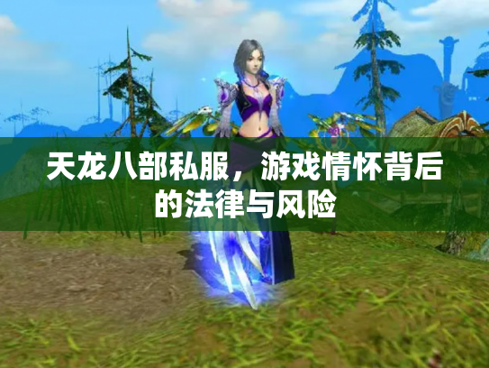 天龙八部私服，游戏情怀背后的法律与风险