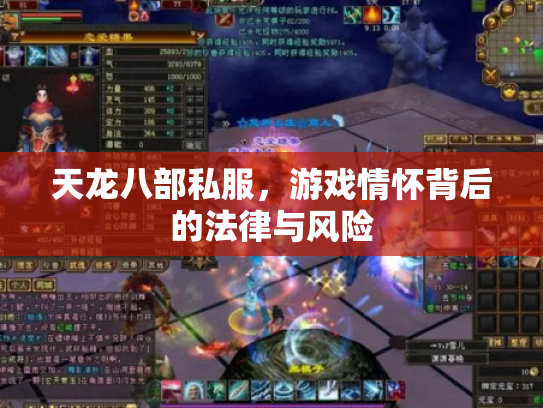 天龙八部私服，游戏情怀背后的法律与风险