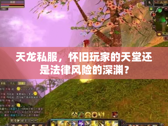 天龙私服，怀旧玩家的天堂还是法律风险的深渊？