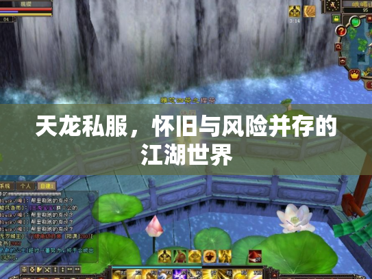 天龙私服，怀旧与风险并存的江湖世界