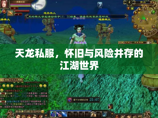 天龙私服，怀旧与风险并存的江湖世界