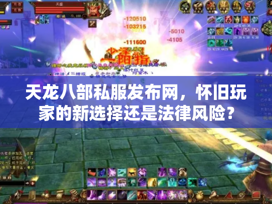 天龙八部私服发布网，怀旧玩家的新选择还是法律风险？