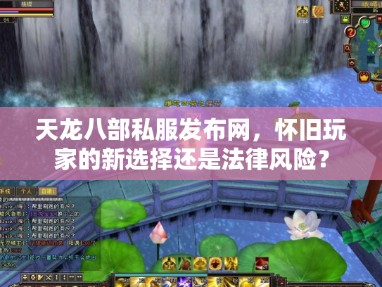 天龙八部私服发布网，怀旧玩家的新选择还是法律风险？