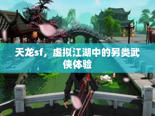 天龙sf，虚拟江湖中的另类武侠体验