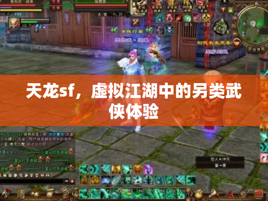 天龙sf，虚拟江湖中的另类武侠体验