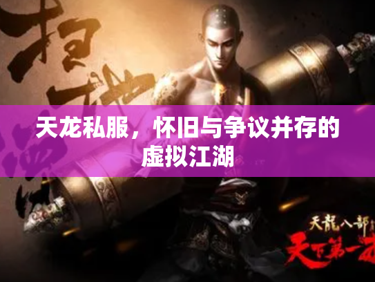 天龙私服，怀旧与争议并存的虚拟江湖
