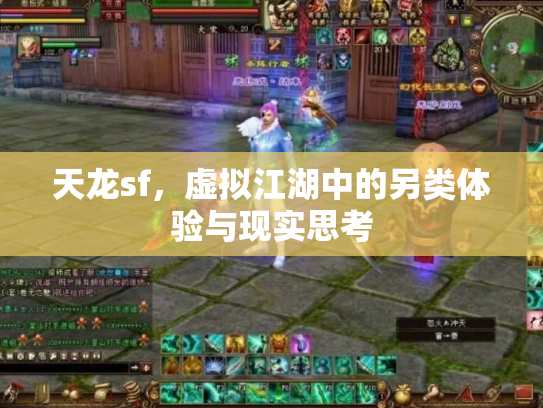 天龙sf，虚拟江湖中的另类体验与现实思考