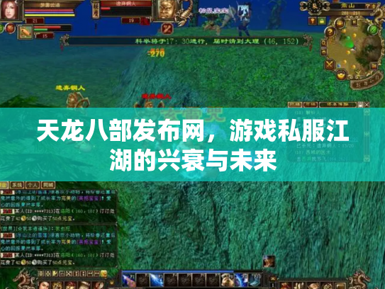 天龙八部发布网，游戏私服江湖的兴衰与未来