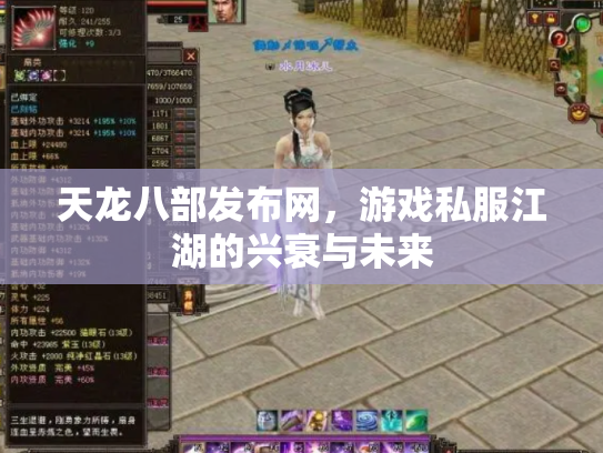 天龙八部发布网，游戏私服江湖的兴衰与未来