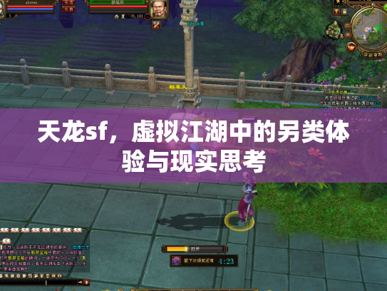 天龙sf，虚拟江湖中的另类体验与现实思考