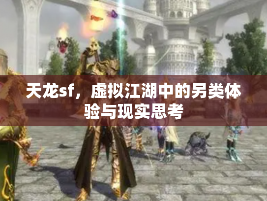天龙sf，虚拟江湖中的另类体验与现实思考
