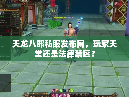 天龙八部私服发布网，玩家天堂还是法律禁区？