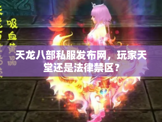 天龙八部私服发布网，玩家天堂还是法律禁区？
