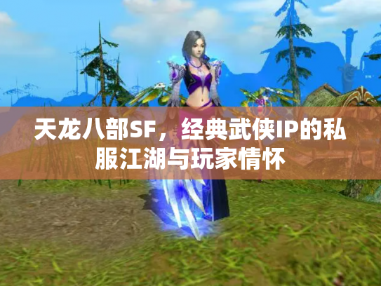 天龙八部SF，经典武侠IP的私服江湖与玩家情怀