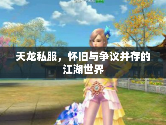 天龙私服，怀旧与争议并存的江湖世界