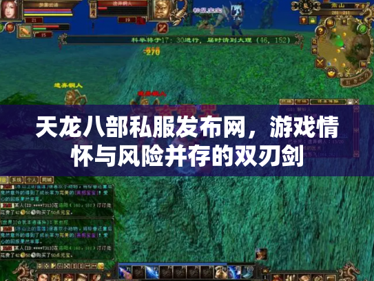 天龙八部私服发布网，游戏情怀与风险并存的双刃剑
