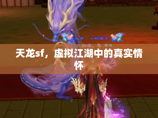 天龙sf，虚拟江湖中的真实情怀