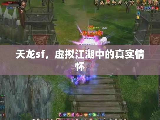 天龙sf，虚拟江湖中的真实情怀