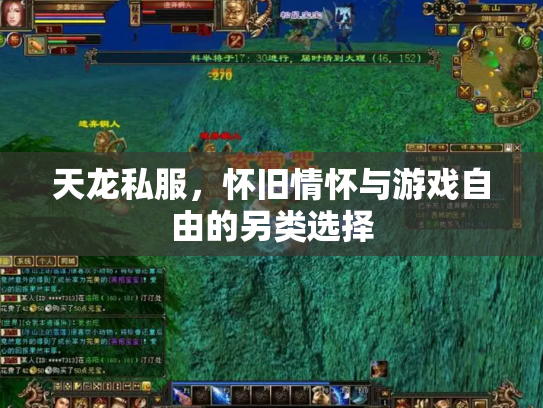 天龙私服，怀旧情怀与游戏自由的另类选择