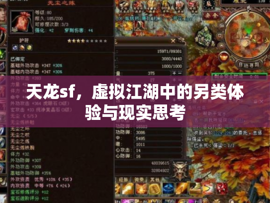 天龙sf，虚拟江湖中的另类体验与现实思考