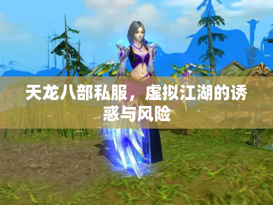 天龙八部私服，虚拟江湖的诱惑与风险
