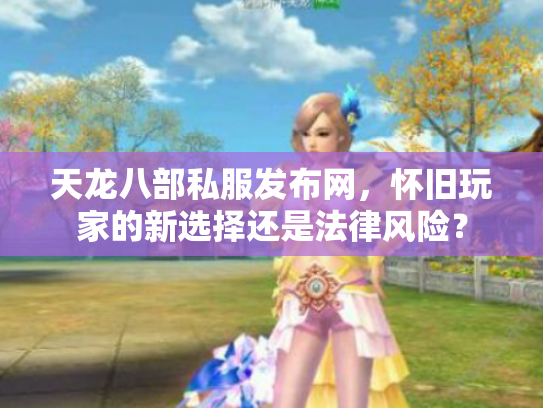 天龙八部私服发布网，怀旧玩家的新选择还是法律风险？