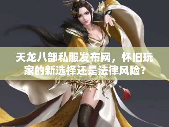 天龙八部私服发布网，怀旧玩家的新选择还是法律风险？
