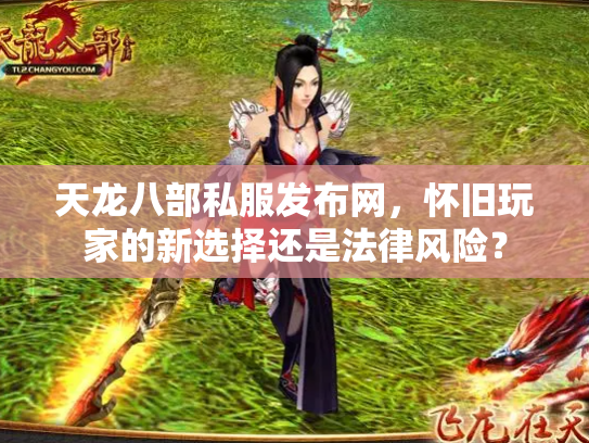 天龙八部私服发布网，怀旧玩家的新选择还是法律风险？