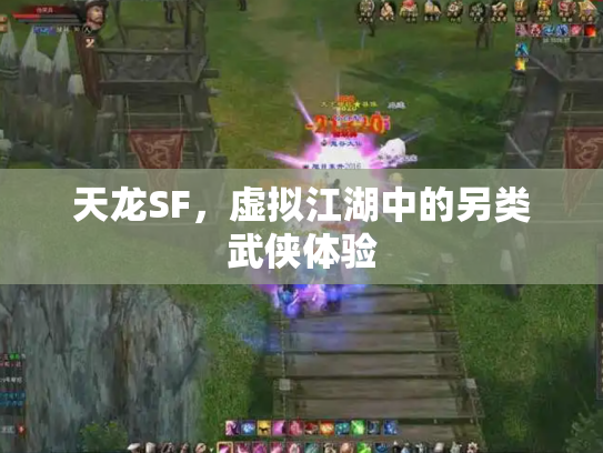 天龙SF，虚拟江湖中的另类武侠体验