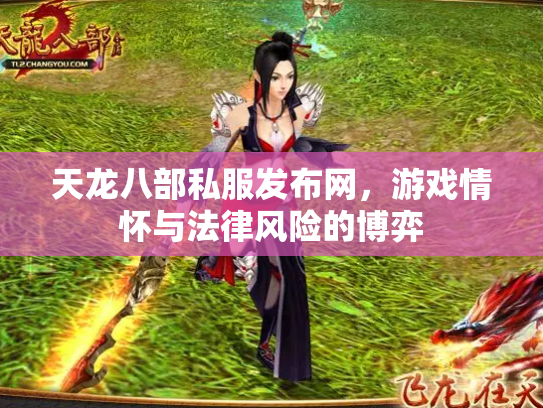 天龙八部私服发布网，游戏情怀与法律风险的博弈