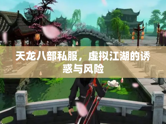 天龙八部私服，虚拟江湖的诱惑与风险