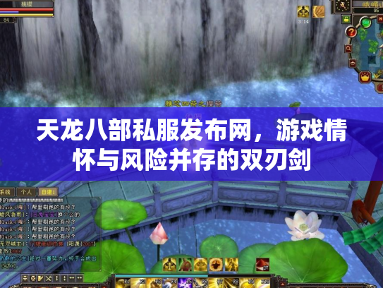 天龙八部私服发布网，游戏情怀与风险并存的双刃剑