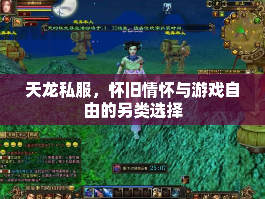 天龙私服，怀旧情怀与游戏自由的另类选择